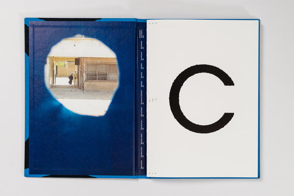 Cheikh Ndiaye: Hippocampus