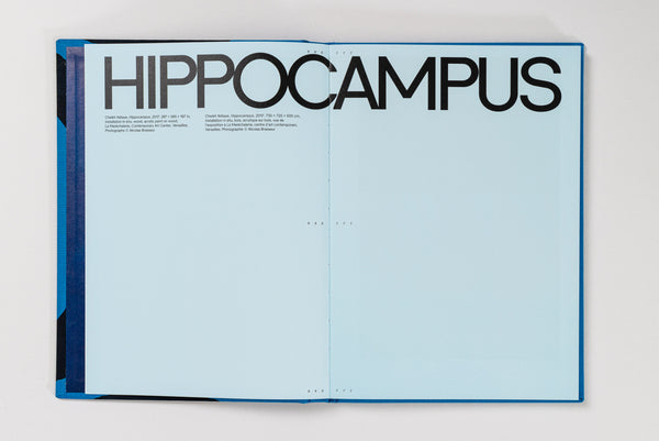 Cheikh Ndiaye: Hippocampus
