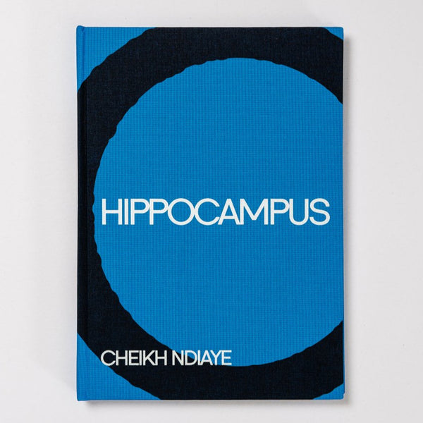 Cheikh Ndiaye: Hippocampus